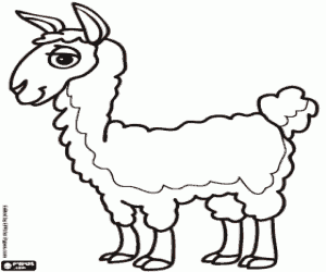 malvorlagen Das Lama, das Tier der Inkas ausmalbilder