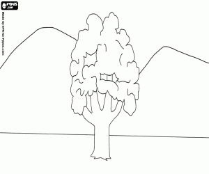 malvorlagen Landschaft mit einem einsamen Baum ausmalbilder