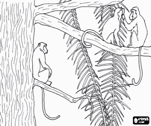 malvorlagen Langschwanz-Affen auf dem Baum ausmalbilder