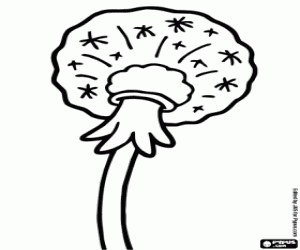 malvorlagen Löwenzahn Samen ausmalbilder