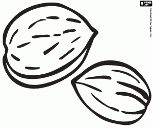 malvorlagen Mandeln, kulinarische Zutat ausmalbilder