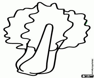 malvorlagen Der Mangold, eine essbare Pflanze ausmalbilder