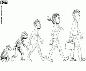 malvorlagen Menschlichen Evolution in fünf Stufen ausmalbilder