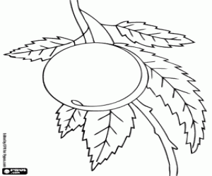 malvorlagen Ein Pfirsich auf dem Baum ausmalbilder