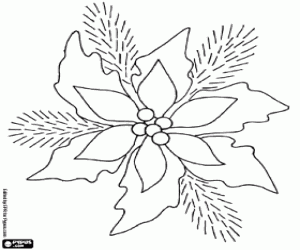 malvorlagen Poinsettia ausmalbilder