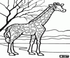 Giraffe in der landschaft