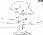 Alleiner baum in einer landschaft mit wenig vegetation