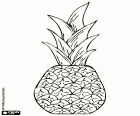 Eine Ananas, eine tropische Frucht