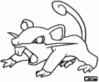 Rattfratz - Pokémon Normaltyp, schnelle angreifende ratte