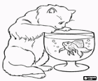 Katze gerade ein fisch schwimmen in einem goldfischglas
