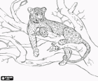 Leopard auf dem zweig von einem baum