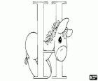 Buchstabe H mit einem kleinen pferd