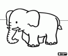 Elefant ruhig