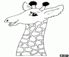 Schönes lächeln giraffe