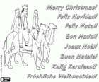 Weihnachtskarten mit den drei Königen von Orient auf ihren Kamelen