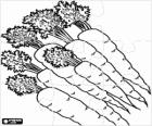 Karotten puzzle