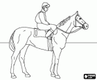 Jockey reitet auf seinem Pferd vor dem Start