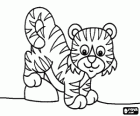 Ein Baby-Tiger oder Tiger junge