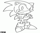 Sonic der Igel, die Hauptfigur des Sonic-Videospiel-Reihe