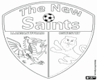 Logo von The New Saints FC, Walisisch Fußballverein