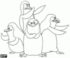 Die Pinguine aus Madagascar