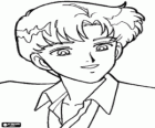 Die attraktive Darien oder Mamoru Chiba, einer der Protagonisten von Sailor Moon