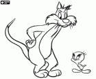 Sylvester und Tweety
