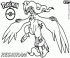 Reshiram, legendäre Pokémon, Drachen/ Feuer. Pokémon Black Maskottchen