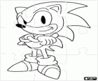 Sonic The Hedgehog puzzle