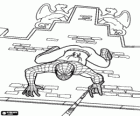 Spiderman auf die Fassade eines Gebäudes