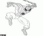 Spider-Man in Aktion