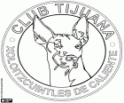 Logo der Club Tijuana Xoloitzcuintles de Caliente, Xolos de Tijuana. Mexikanischer Fußballverein
