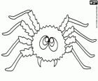 Spinne