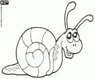 Schnecke