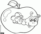 Wurm in einen Apfel