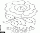 Logo der die England Rugby-Nationalmannschaft. Emblem, die rote rose