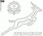 Logo der Südafrika-Rugby-Nationalmannschaft, die Springboks. Emblem, die Springbok und die protea