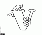 Buchstaben V ein kleiner Vogel mit einem Blütenstand von Früchten