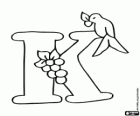 Buchstabe K mit ein kleiner Vogel und eine Traube von Früchten