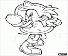 Amy Rose, die Freundin von Sonic puzzle