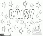 Daisy, seine Herkunft ist der Name in Englisch einer Blume, die gänseblümchen