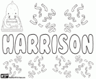 Harrisson, Name des englischen Ursprung. Seine Bedeutung ist der Sohn von Harry