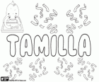 Tamilla, Name slawischen Ursprungs