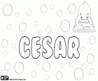 Cesar, Name lateinischen Ursprungs. Kommt aus dem lateinischen Spitzname Caesar