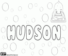 Hudson, Name des englischen Ursprung. Seine Bedeutung ist der Sohn von Hugh