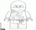 Ein Ninja-Krieger, Lego Ninjago