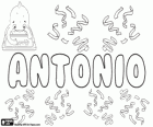 Antonio, Name lateinischen Ursprungs. Derivat von Antonius