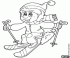 Skifahrer