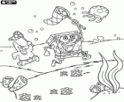 SpongeBob und Patrick Star und die Quallen-Jagd