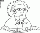 Büste von Franz Peter Schubert. Berühmter österreichischer Komponist, geboren im Jahre 1797 und starb 1828